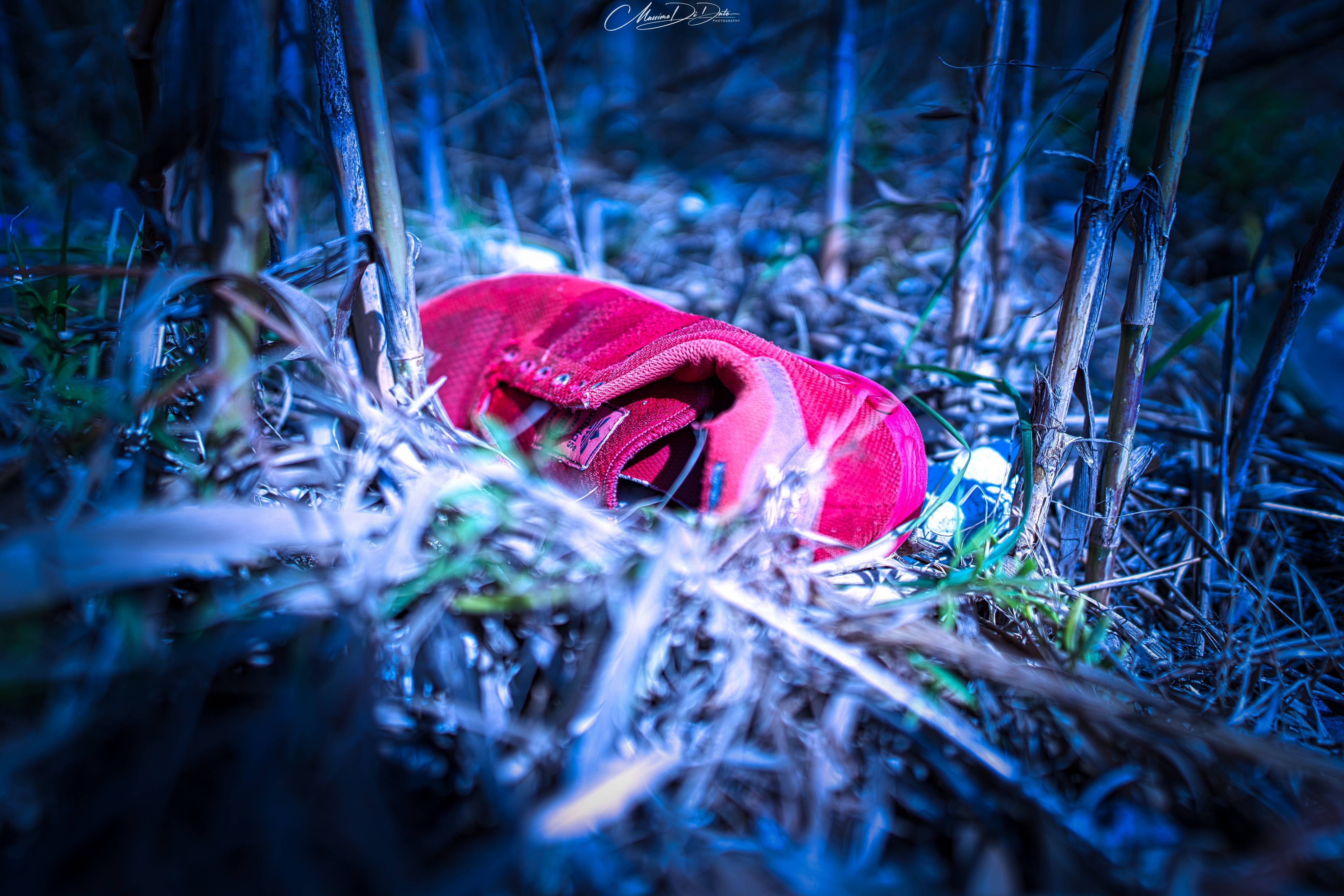 Red sneaker